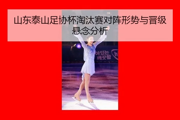 shan-dong-tai-shan-zu-xie-bei-tao-tai-sai-dui-zhen-xing-shi-yu-jin-ji-xuan-nian-fen-xi-2-586.jpg